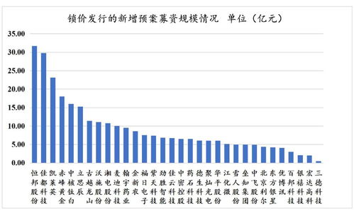 再融資新政下非公開(kāi)發(fā)行戰(zhàn)略投資者深度研究 聚焦非融資性擔(dān)保機(jī)構(gòu)的角色與挑戰(zhàn)